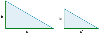 semejanza entre triangulos rectangulos catetos