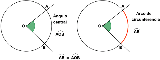 Ángulo central y arco de circunferencia.